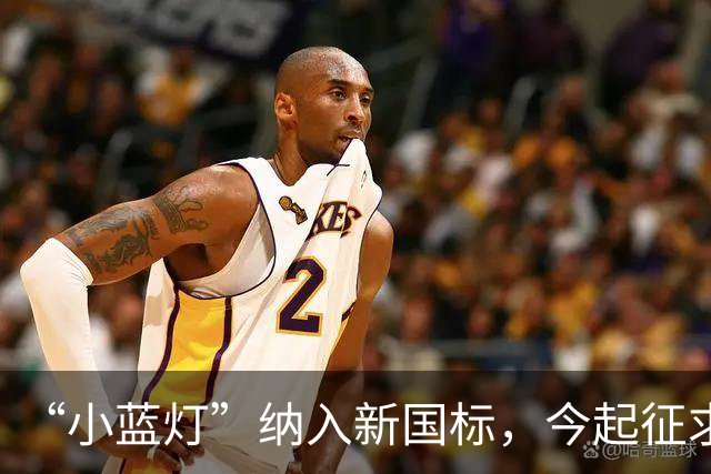 “小蓝灯”纳入新国标，今起征求意见！L3级以下车辆禁止安装，禁止显示文字和人脸图案，禁止使用手势和语音控制车灯……