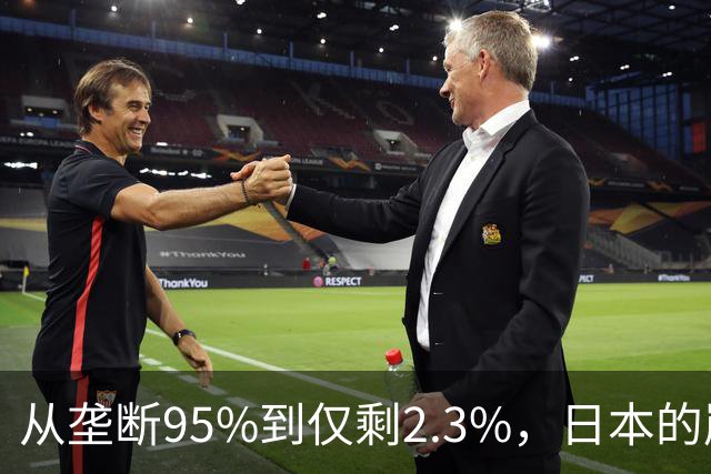 从垄断95%到仅剩2.3%，日本的崩溃循环，中国亲手按下终止键