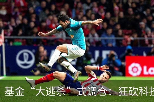 基金“大逃杀”式调仓：狂砍科技仓位！