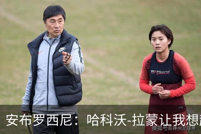 安布罗西尼：哈科沃-拉蒙让我想起了内斯塔