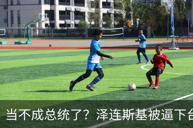 当不成总统了？泽连斯基被逼下台，一旦成真中国的粮价撑得住吗？