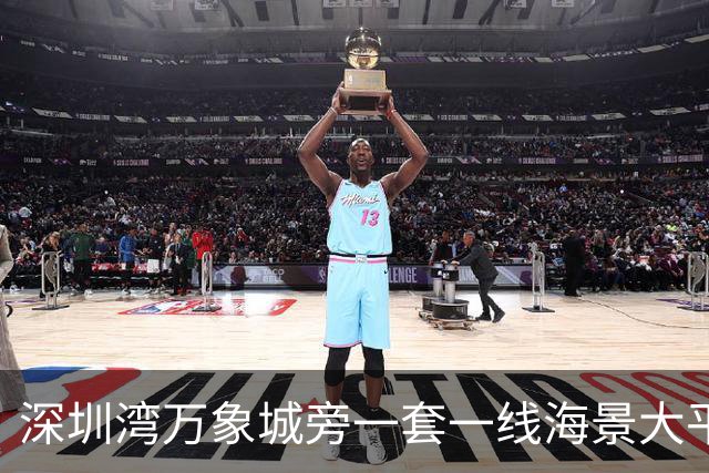 深圳湾万象城旁一套一线海景大平层拍卖，被人5827万竞得