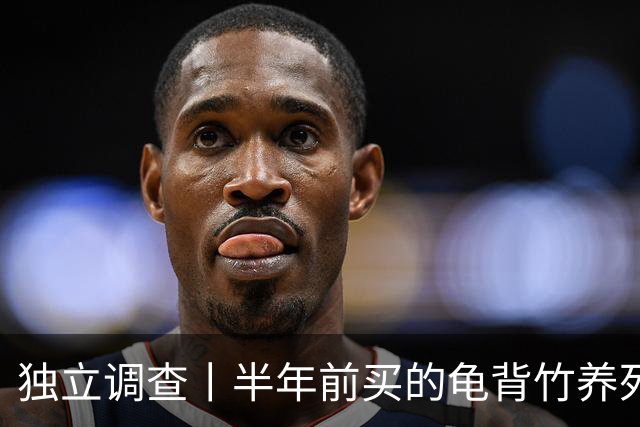 独立调查丨半年前买的龟背竹养死了，也要“仅退款”：商家拒绝后被投诉到闭店，还被告上法庭
