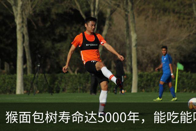 猴面包树寿命达5000年，能吃能喝又能住，为何引进中国却大变样？
