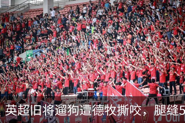 英超旧将遛狗遭德牧撕咬，腿缝50多针，最后是自家狗救了他一命