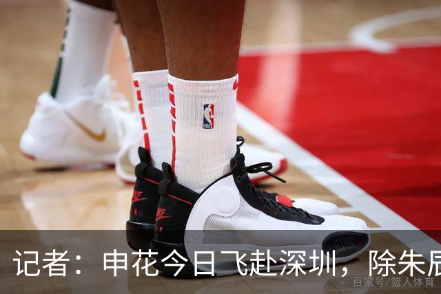 记者：申花今日飞赴深圳，除朱辰杰盖伊等伤员外几乎全员出征