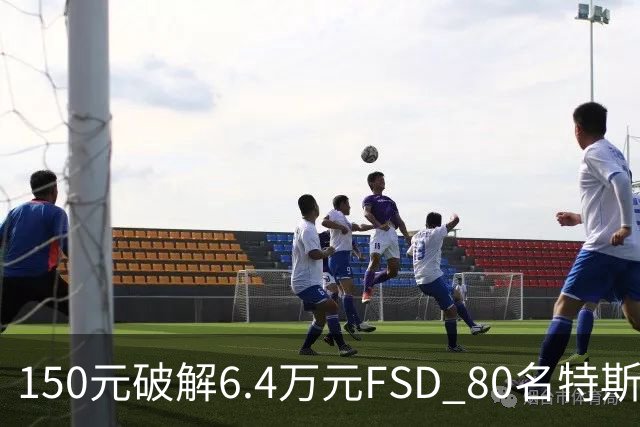 150元破解6.4万元FSD 80名特斯拉车主被移送检方
