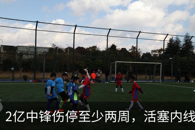 2亿中锋伤停至少两周，活塞内线告急