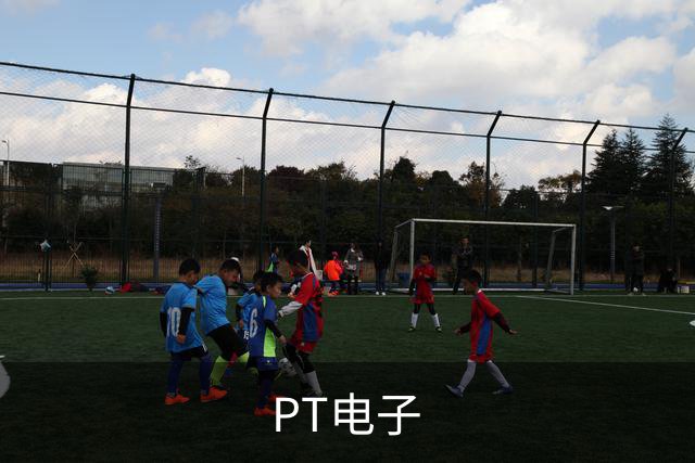 PT电子公司简介